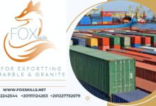 فوكس سكيلز تقود سوق كربونات الكالسيوم بحلول صناعية متكاملة وتصدير عالمي